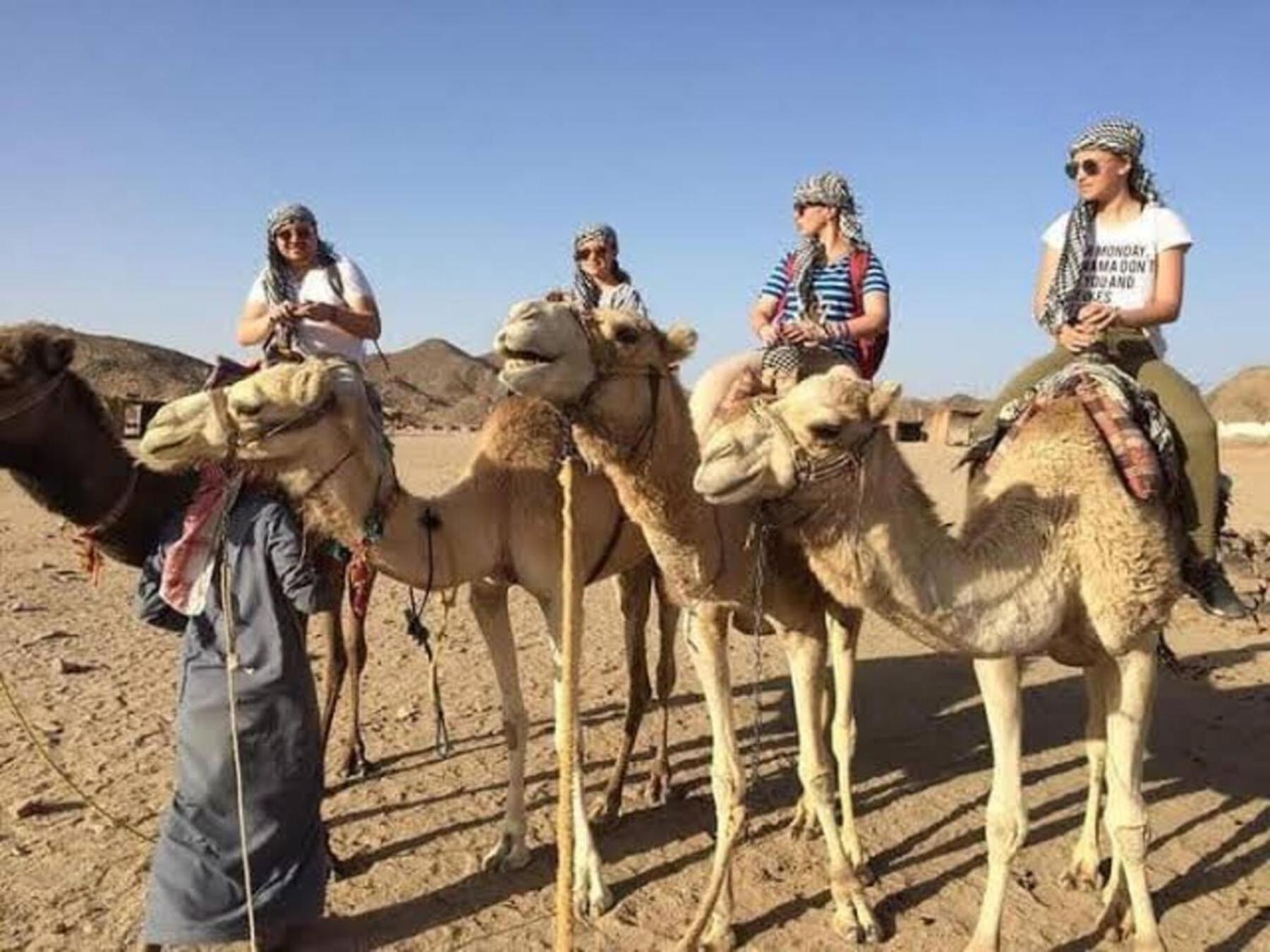 Four Seasons Hotel الغردقة المظهر الخارجي الصورة